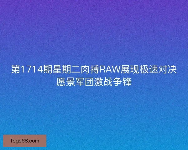 第1714期星期二肉搏RAW展现极速对决愿景军团激战争锋